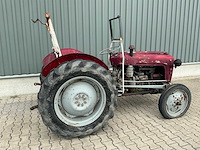 Massey furguson oldtimer tractor - afbeelding 13 van  14