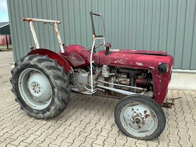 Massey furguson oldtimer tractor - afbeelding 14 van  14