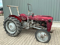 Massey furguson oldtimer tractor - afbeelding 14 van  14