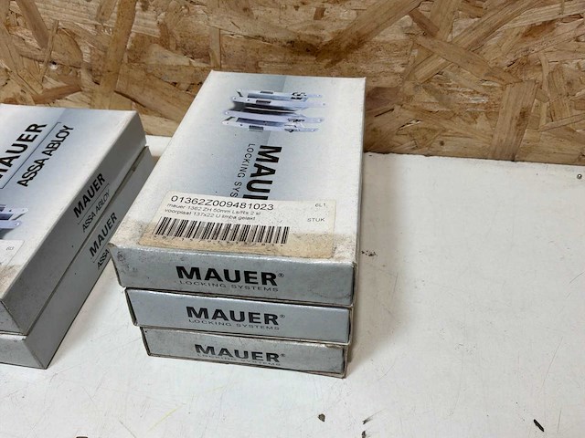 Mauer diverse sloten (13x) - afbeelding 12 van  14