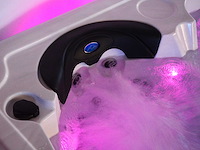 Mawialux 6-persoons buitenspa met balboa en wifi (bomvol opties en 117 massage jets) - afbeelding 4 van  123