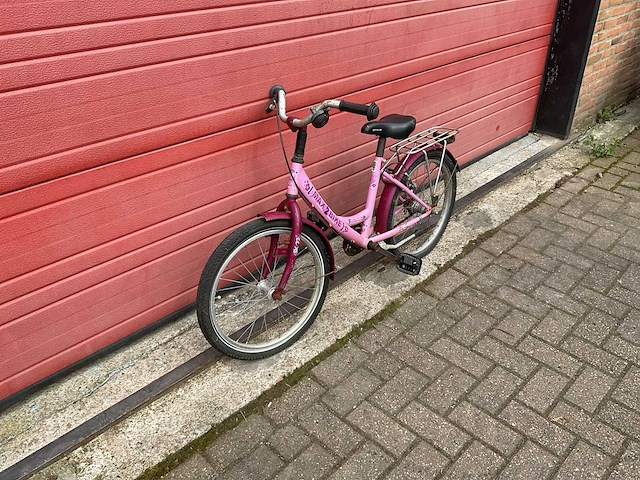 Max 2 bike 33 tropical fiets - afbeelding 1 van  8