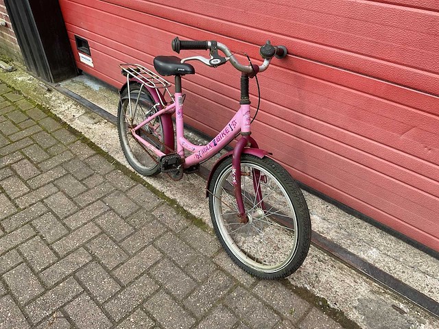 Max 2 bike 33 tropical fiets - afbeelding 4 van  8