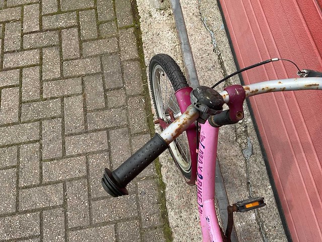 Max 2 bike 33 tropical fiets - afbeelding 7 van  8