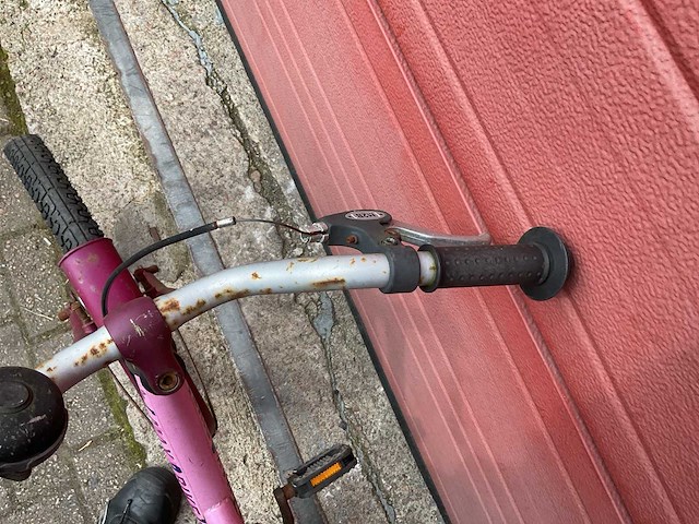 Max 2 bike 33 tropical fiets - afbeelding 8 van  8