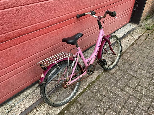 Max 2 bike 33 tropical fiets - afbeelding 3 van  8