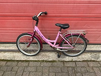 Max 2 bike 33 tropical fiets - afbeelding 5 van  8