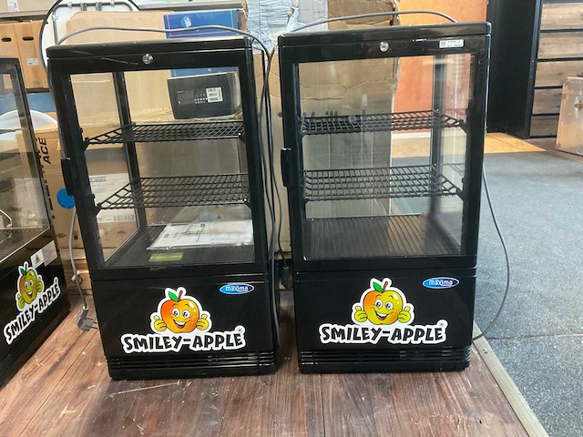Maxima - mini koelvitrine (2x) - afbeelding 1 van  4