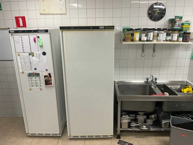 Maxxfrost - vriezer 77x75x190 cm - afbeelding 2 van  4
