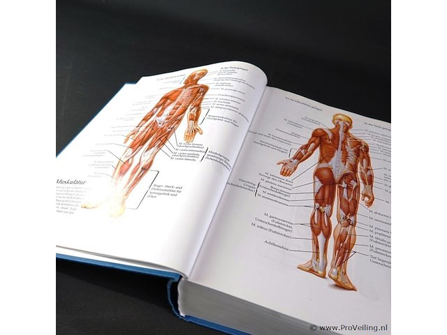 Mayo clinic gesundheitsbuch - afbeelding 4 van  5