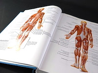 Mayo clinic gesundheitsbuch - afbeelding 4 van  5