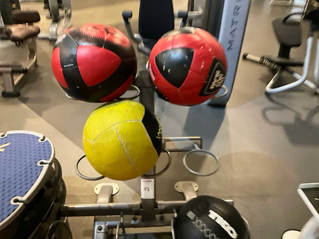 Medicijnballen op rek - afbeelding 3 van  4