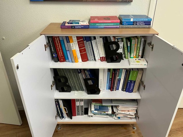 Medische lectuur - afbeelding 1 van  13