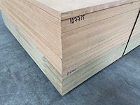 Medite mdf plaat 2445x1220x25mm (19x) - afbeelding 5 van  6