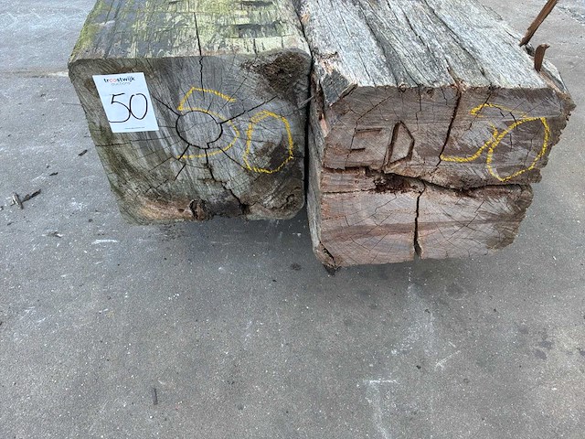 Meerpaal (2x) - afbeelding 2 van  6