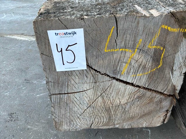 Meerpaal - afbeelding 2 van  7