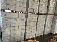 Mega pool main drain 110 mm (42x) - afbeelding 1 van  4