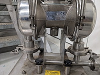 Membraam pomp, dominator , p38 sbt, 2015 - afbeelding 10 van  11