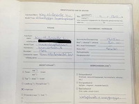 Mennens - 1984 - bovenloophalkraan - afbeelding 3 van  11
