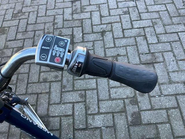 Merano elektrische driewielerfiets - afbeelding 11 van  15