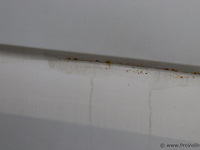 Mercedes-benz sprinter - kenteken v-084-dh | automaat - afbeelding 38 van  45