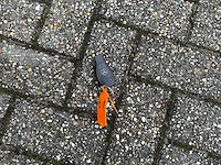 Mercedes-benz sprinter 311 2.2 cdi 366 9 persoons -rolstoelbus- 109pk 2011, 37-png-9 - afbeelding 30 van  36