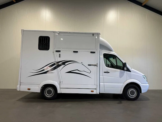 Mercedes-benz sprinter 316 2.2 cdi 2 paards paardenwagen v-089-bf - afbeelding 30 van  30