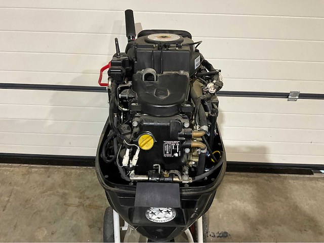Mercury efi f25 outboard buitenboordmotor - afbeelding 9 van  12
