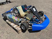 Merlin kart (2x) - afbeelding 9 van  17