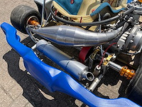 Merlin kart (2x) - afbeelding 12 van  17