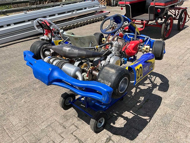 Merlin kart (2x) - afbeelding 1 van  17