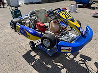 Merlin kart (2x) - afbeelding 2 van  17