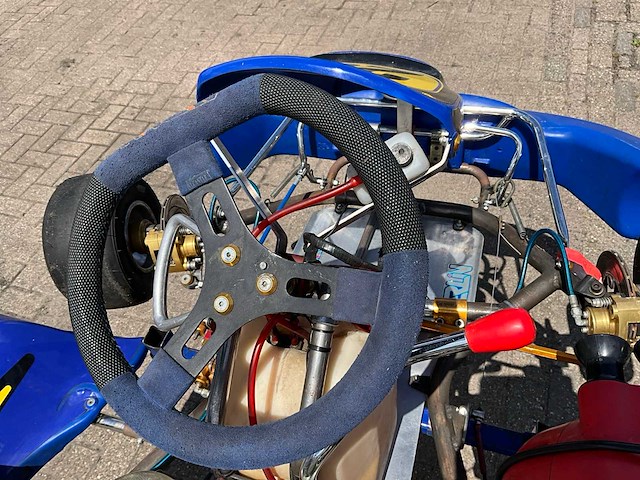 Merlin kart (2x) - afbeelding 3 van  17