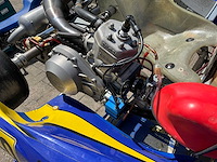 Merlin kart (2x) - afbeelding 4 van  17