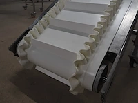 Mesoma - afbeelding 5 van  8