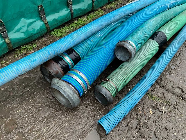 Mestslang divers (6x) - afbeelding 3 van  4