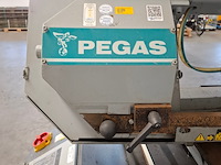 Metaal lintzaag met aanvoerbaan, pegas, 290x320 shi-lr-f, 2011 - afbeelding 21 van  31