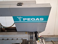 Metaal lintzaag met aanvoerbaan, pegas, 290x320 shi-lr-f, 2011 - afbeelding 5 van  31