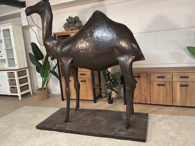 Metalen dromedaris - afbeelding 8 van  14