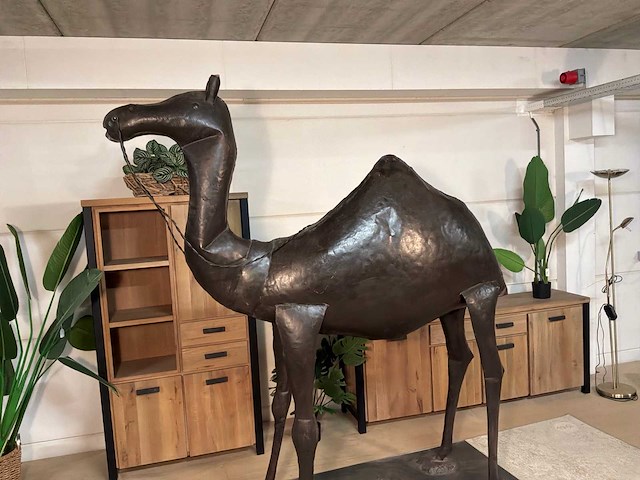 Metalen dromedaris - afbeelding 3 van  14