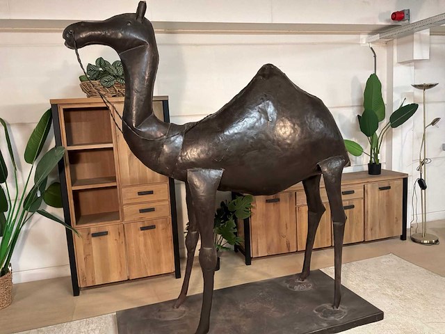 Metalen dromedaris - afbeelding 10 van  14