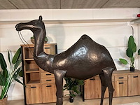 Metalen dromedaris - afbeelding 5 van  14