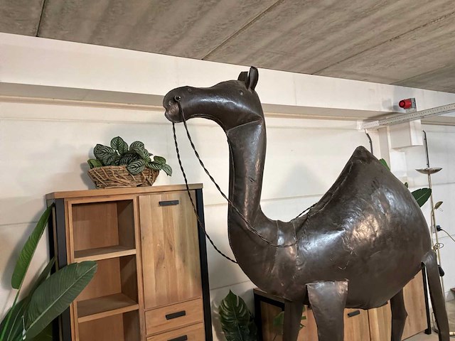 Metalen dromedaris - afbeelding 6 van  14