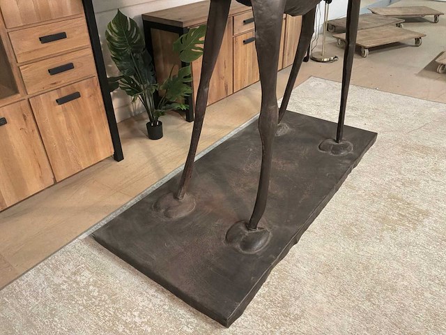 Metalen dromedaris - afbeelding 14 van  14