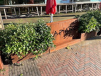 Metalen plantenbak (2x) & terrasafscheiding - afbeelding 2 van  5