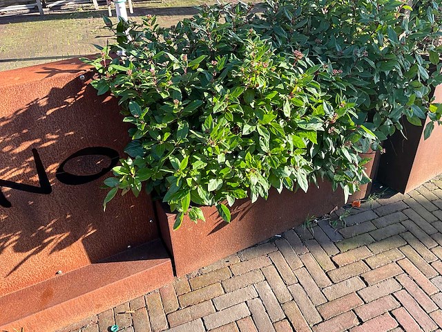 Metalen plantenbak (2x) & terrasafscheiding - afbeelding 5 van  5