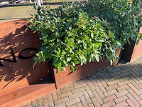 Metalen plantenbak (2x) & terrasafscheiding - afbeelding 5 van  5