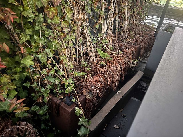 Metalen plantenbak (3x) - afbeelding 2 van  5