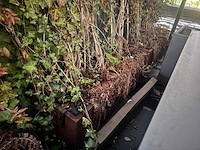 Metalen plantenbak (3x) - afbeelding 2 van  5