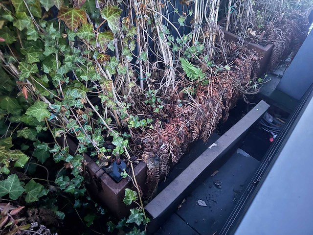 Metalen plantenbak (3x) - afbeelding 3 van  5